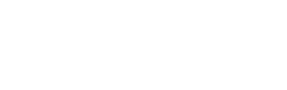 Logo-Baroncini